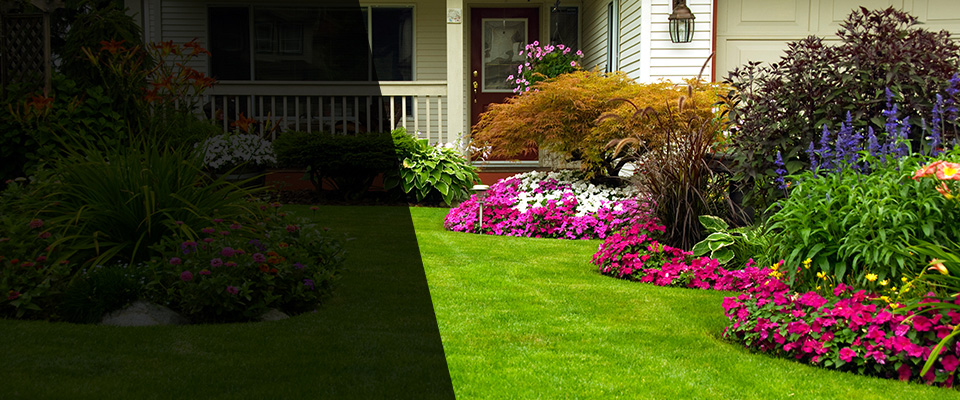 Mosheim Landscapers