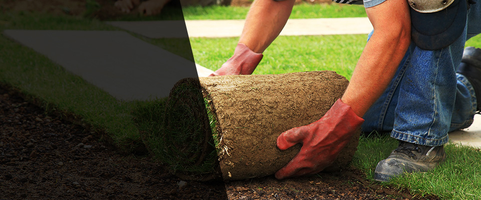 Mosheim Landscapers